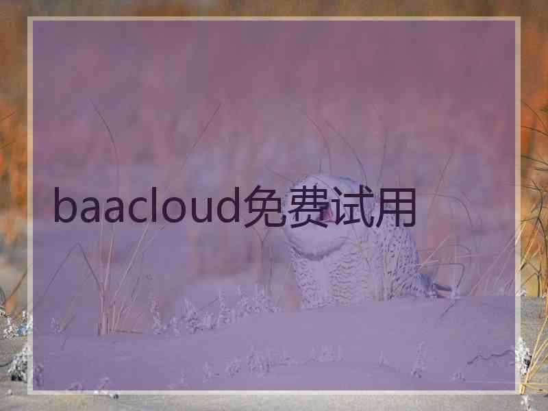 baacloud免费试用