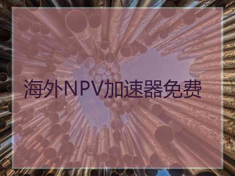 海外NPV加速器免费