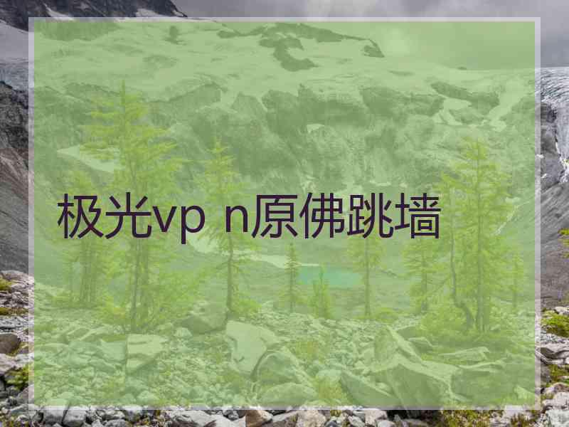 极光vp n原佛跳墙