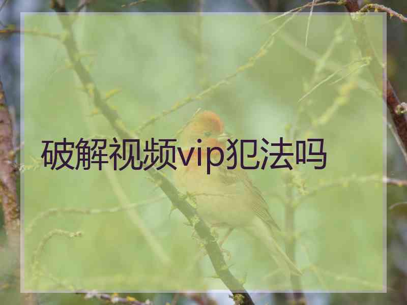 破解视频vip犯法吗