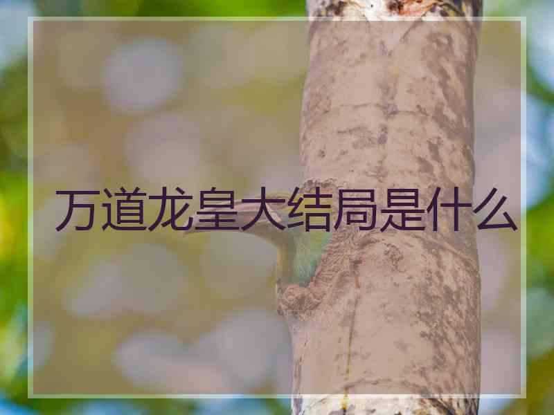 万道龙皇大结局是什么