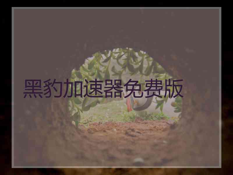 黑豹加速器免费版