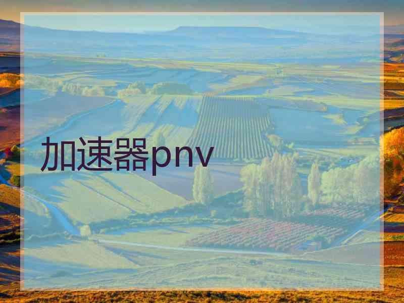 加速器pnv