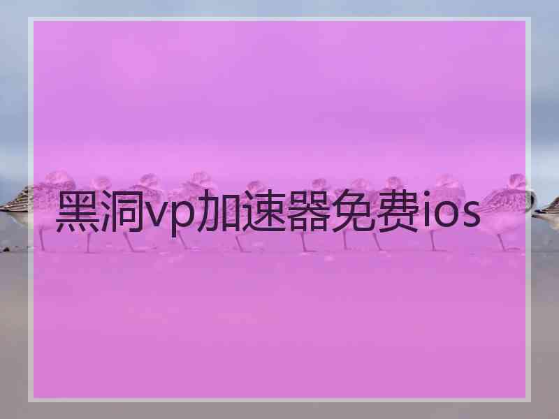 黑洞vp加速器免费ios