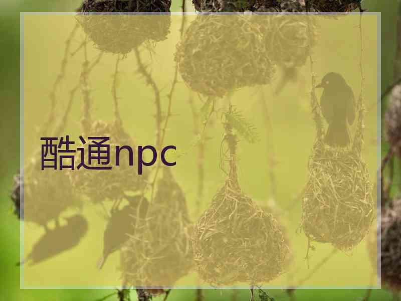 酷通npc