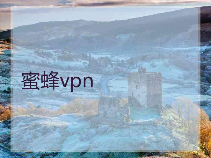 蜜蜂vpn