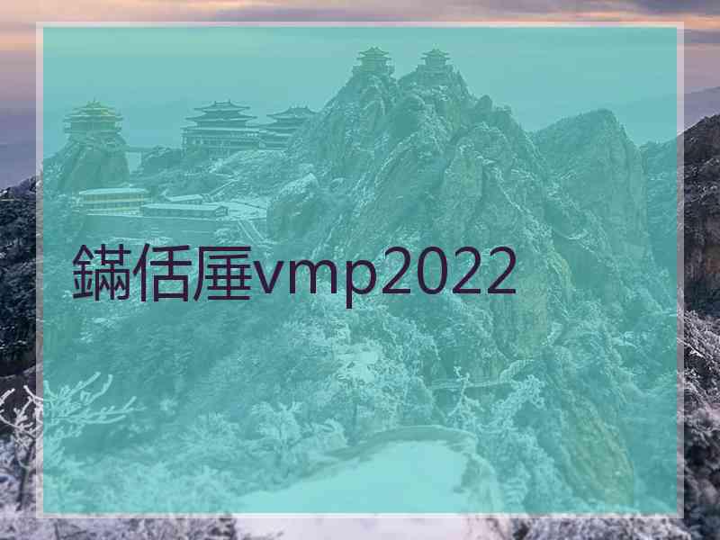 鏋佸厜vmp2022