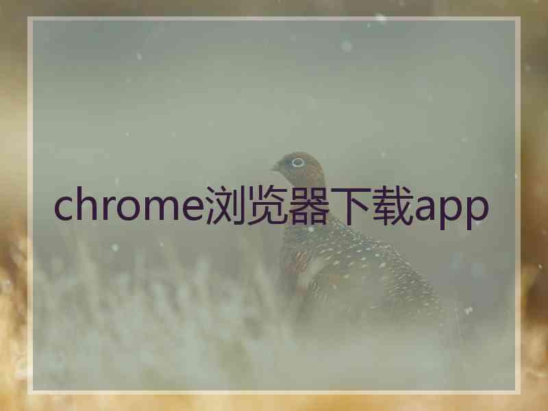 chrome浏览器下载app