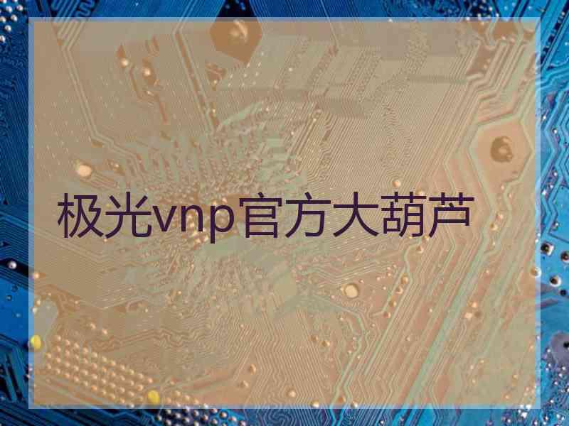 极光vnp官方大葫芦