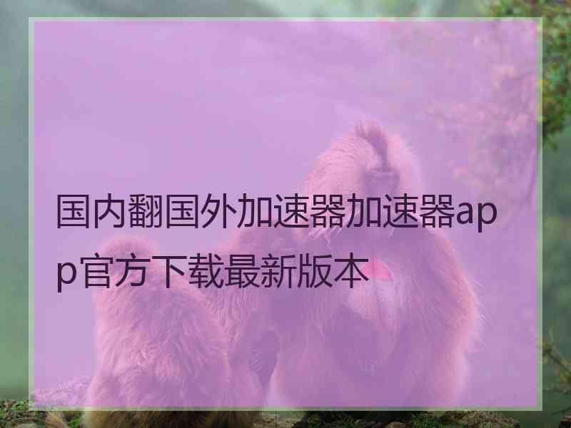 国内翻国外加速器加速器app官方下载最新版本