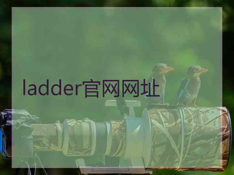 ladder官网网址