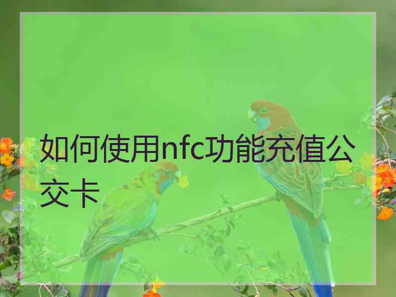 如何使用nfc功能充值公交卡