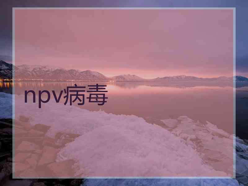 npv病毒