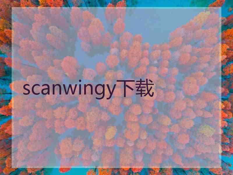 scanwingy下载