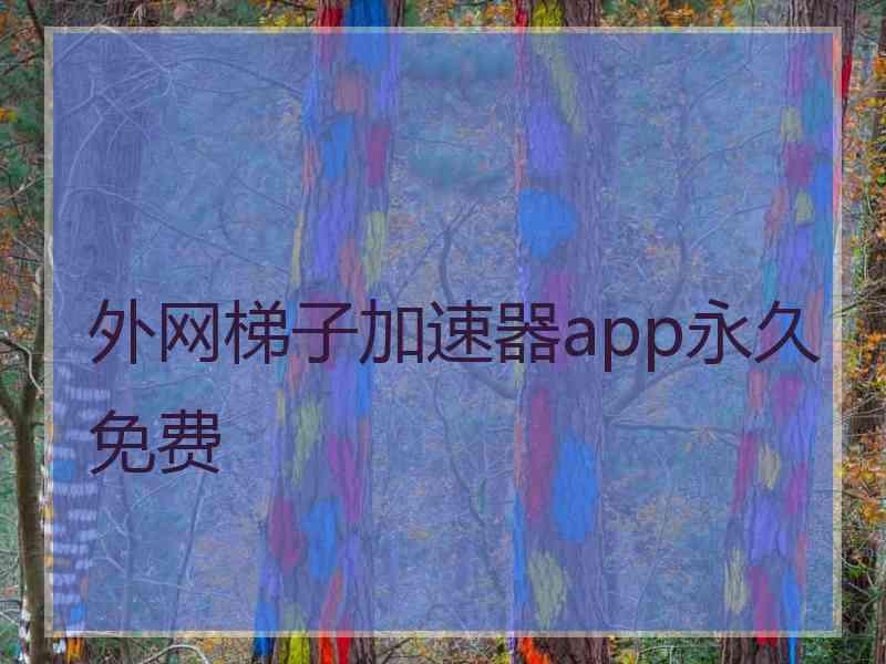 外网梯子加速器app永久免费