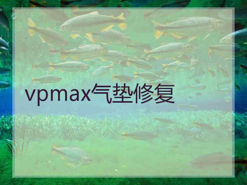 vpmax气垫修复