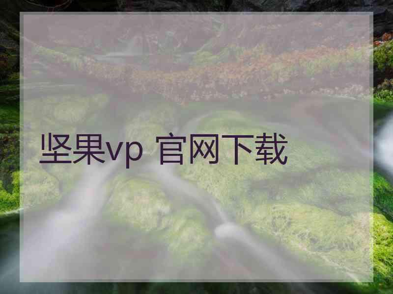 坚果vp 官网下载