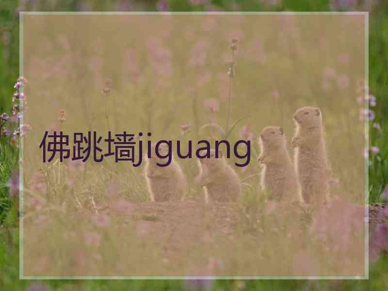 佛跳墙jiguang