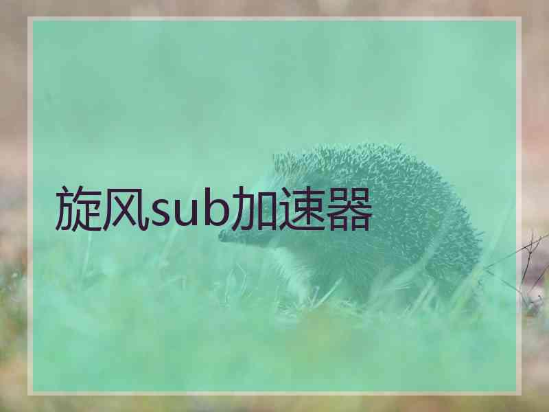 旋风sub加速器