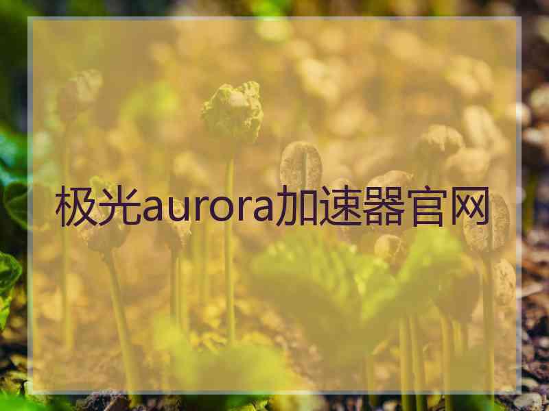 极光aurora加速器官网