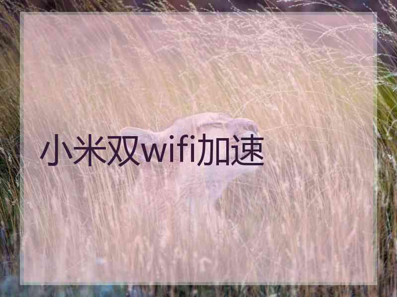 小米双wifi加速