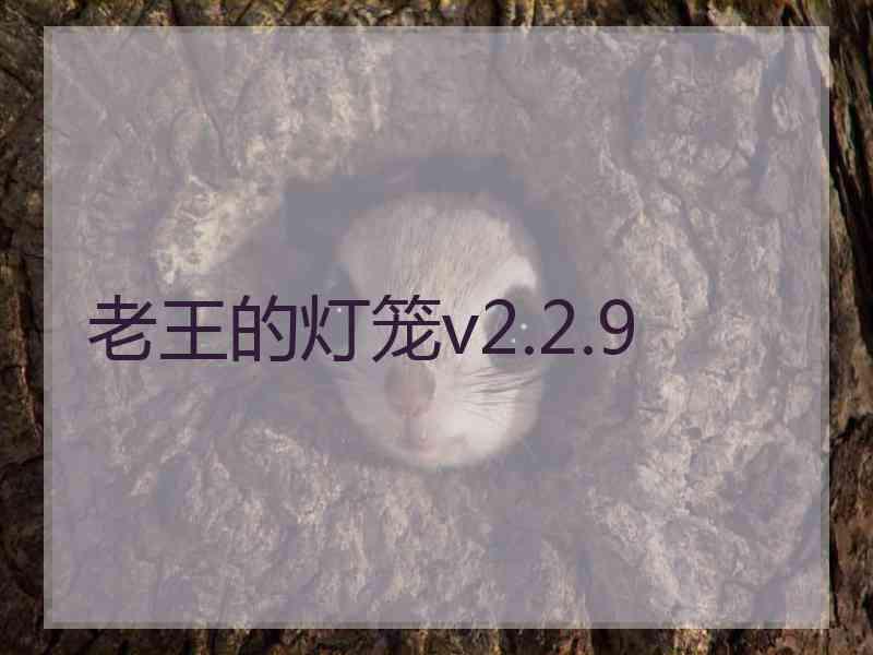 老王的灯笼v2.2.9