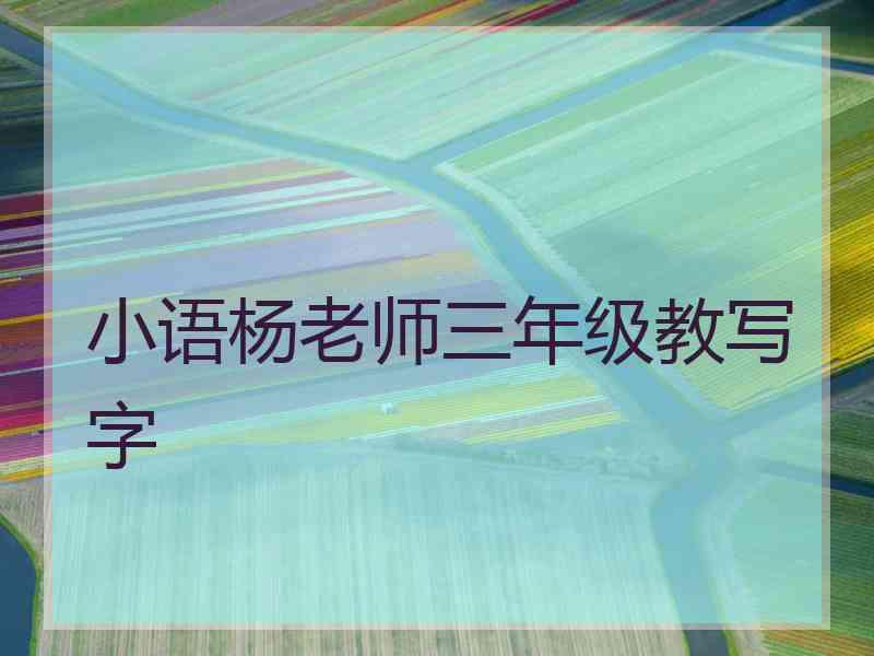 小语杨老师三年级教写字