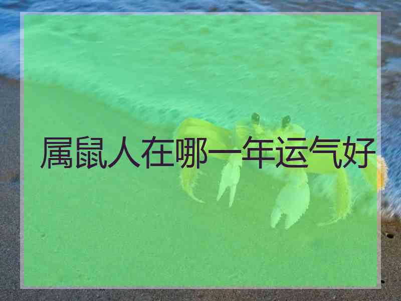 属鼠人在哪一年运气好