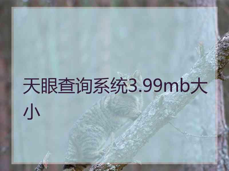 天眼查询系统3.99mb大小