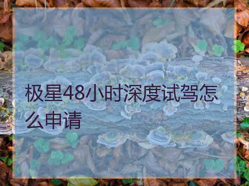 极星48小时深度试驾怎么申请