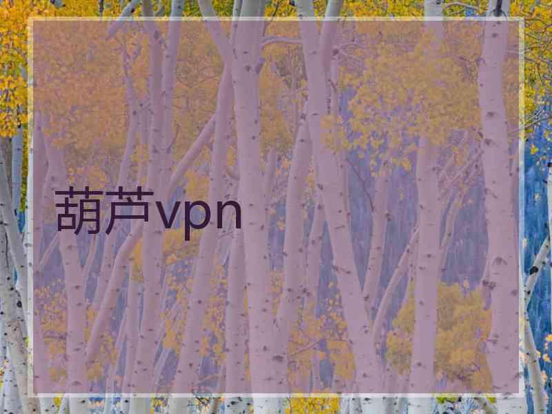 葫芦vpn