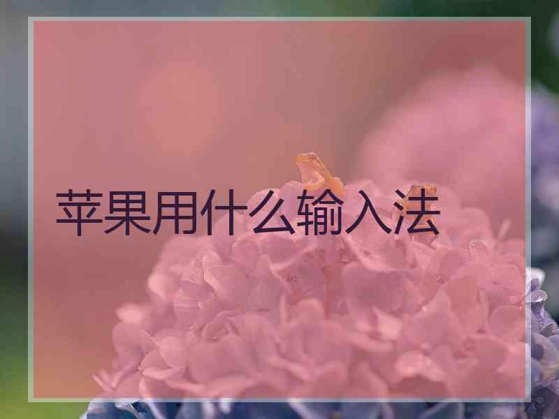 苹果用什么输入法