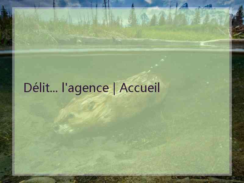 Délit... l'agence | Accueil