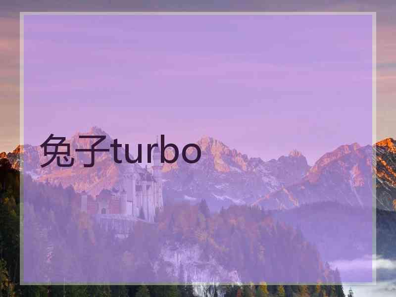 兔子turbo