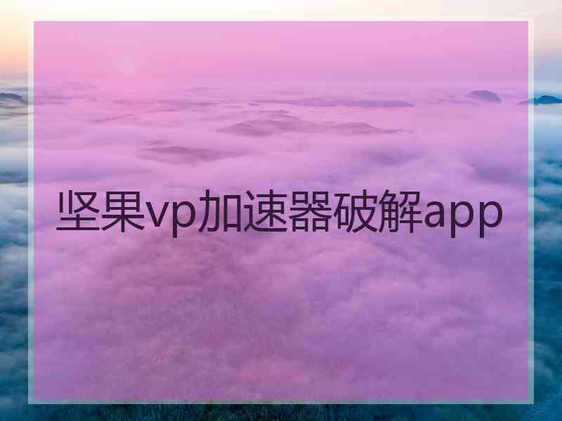 坚果vp加速器破解app