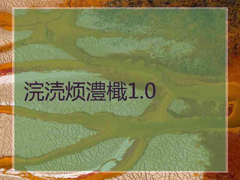 浣涜烦澧檝1.0