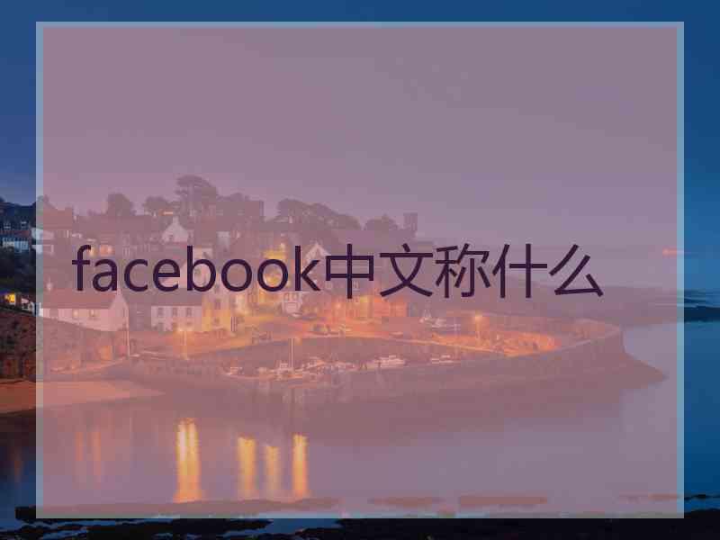 facebook中文称什么