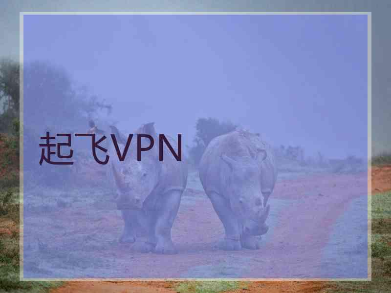 起飞VPN