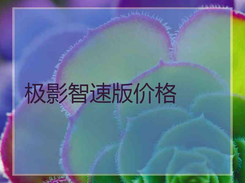 极影智速版价格