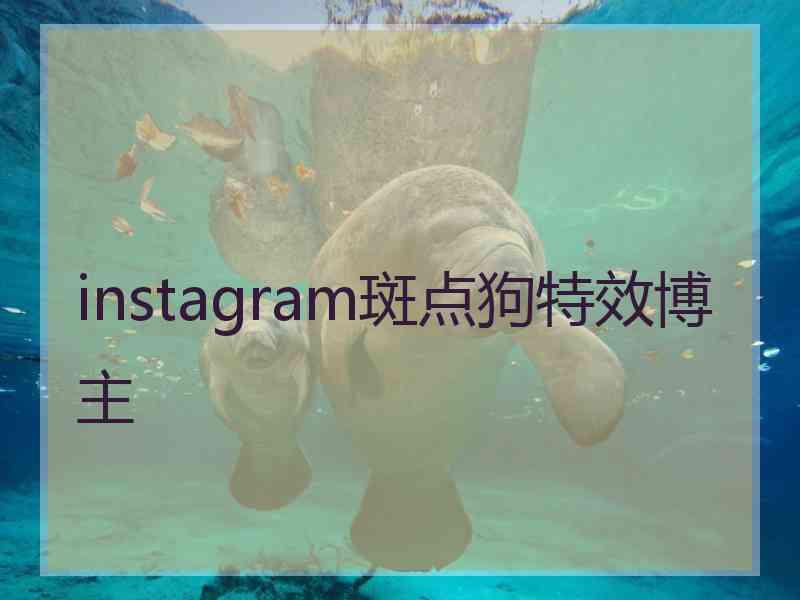 instagram斑点狗特效博主