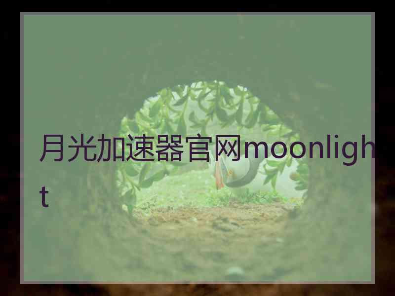 月光加速器官网moonlight