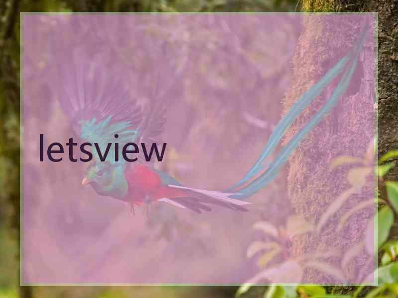 letsview