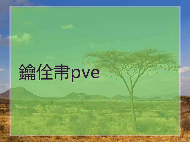 鑰佺帇pve