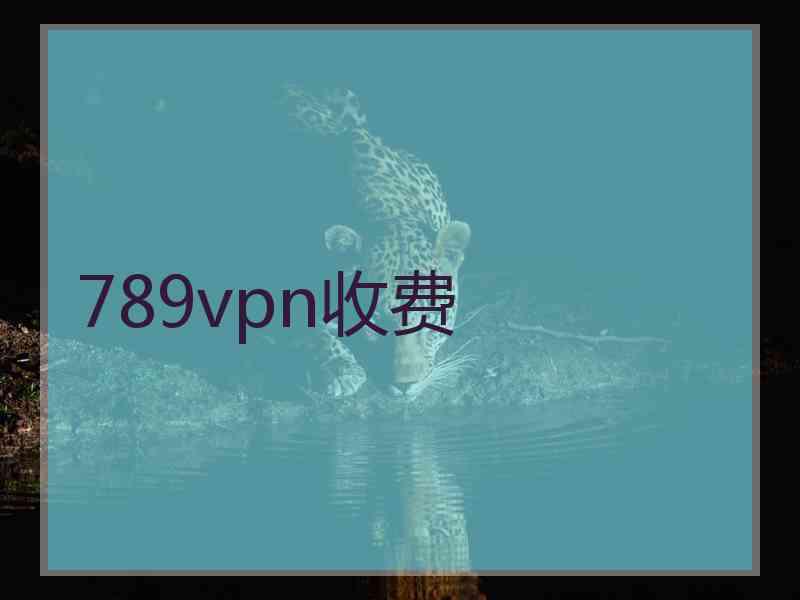 789vpn收费