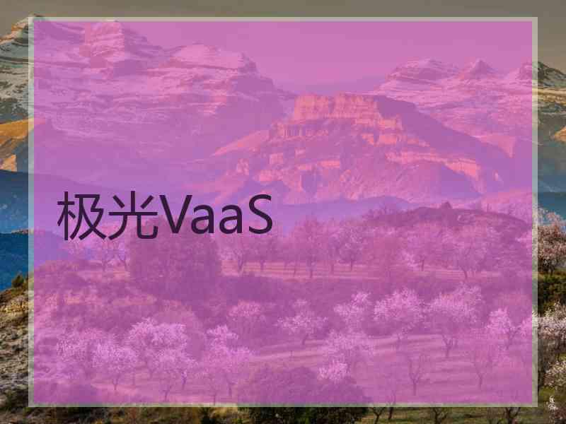 极光VaaS