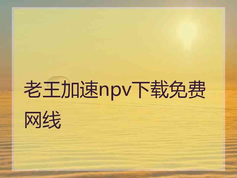 老王加速npv下载免费网线