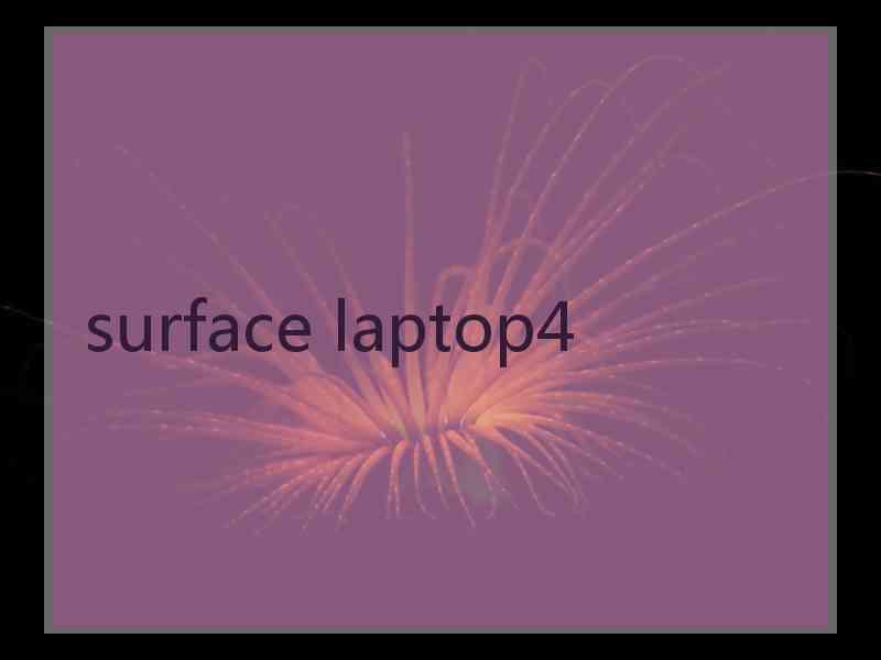 surface laptop4