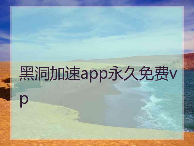 黑洞加速app永久免费vp