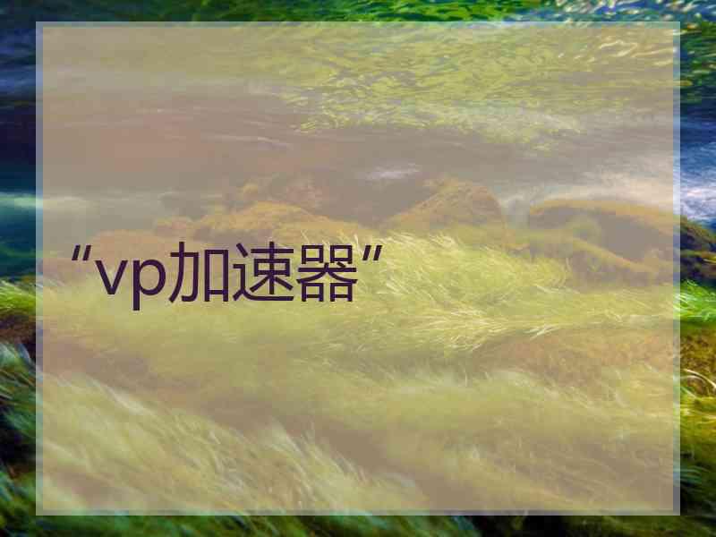 “vp加速器”