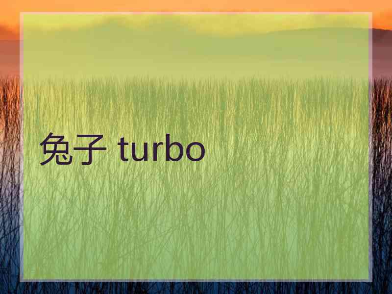 兔子 turbo